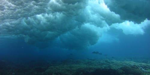 Waves break on the front reef creating a tough environment for corals to grow. Note the large encrusting soft coral below the breaking wave.